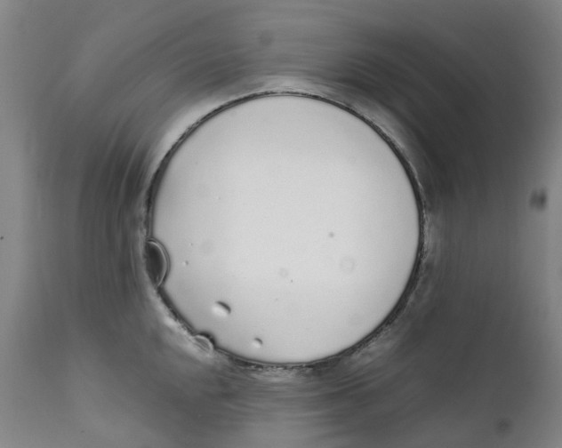 X0000111251048200907231548