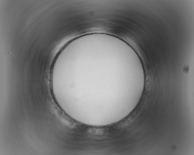 X0000111251051200907231548