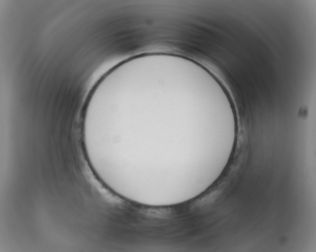 X0000111251053200907231548