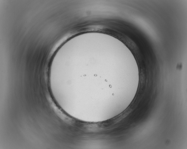 X0000111251054200907231548