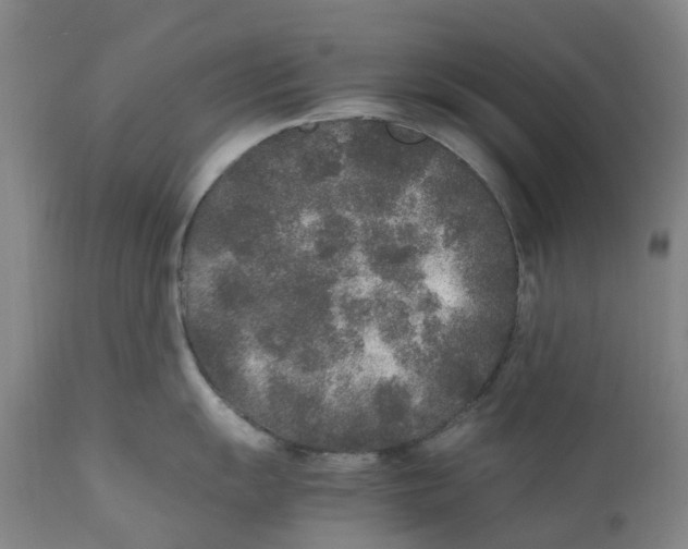 X0000111251055200907231548