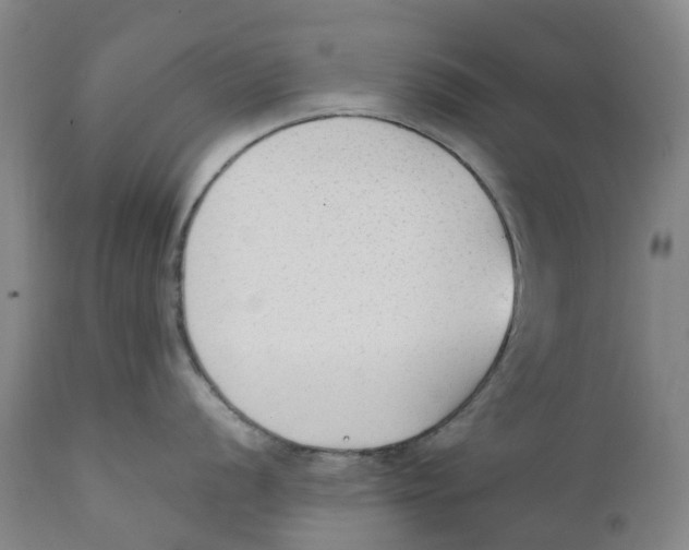 X0000111251056200907231548