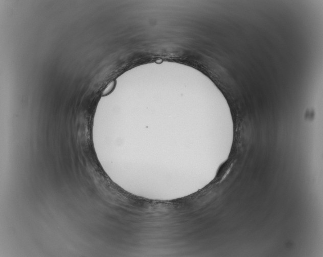 X0000111251058200907231548