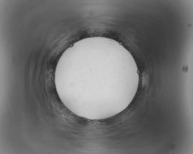 X0000111251059200907231548