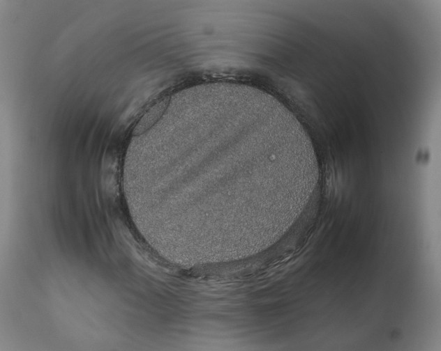 X0000111251060200907231548