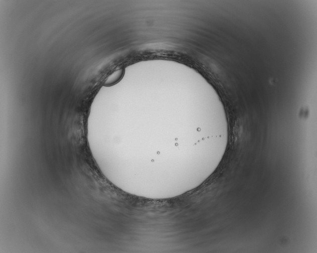 X0000111251062200907231547