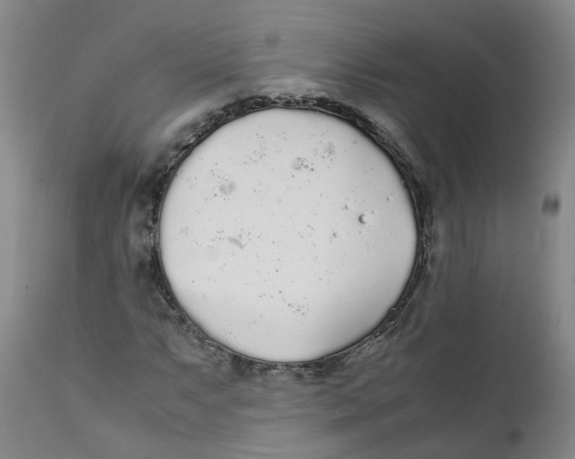 X0000111251063200907231547