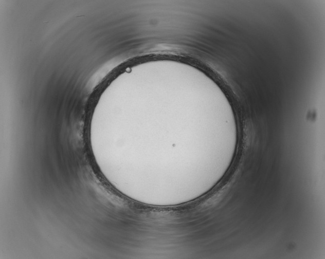 X0000111251066200907231547