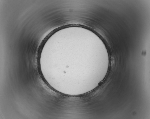 X0000111251068200907231547