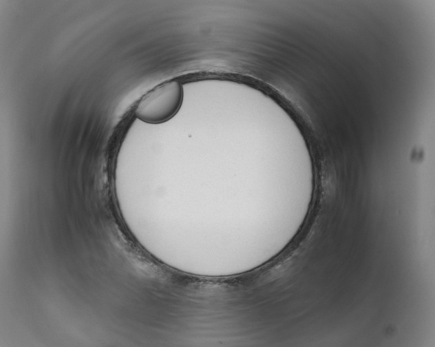 X0000111251070200907231547