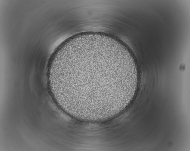 X0000111251071200907231547