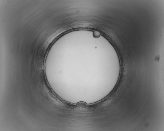 X0000111251073200907231547