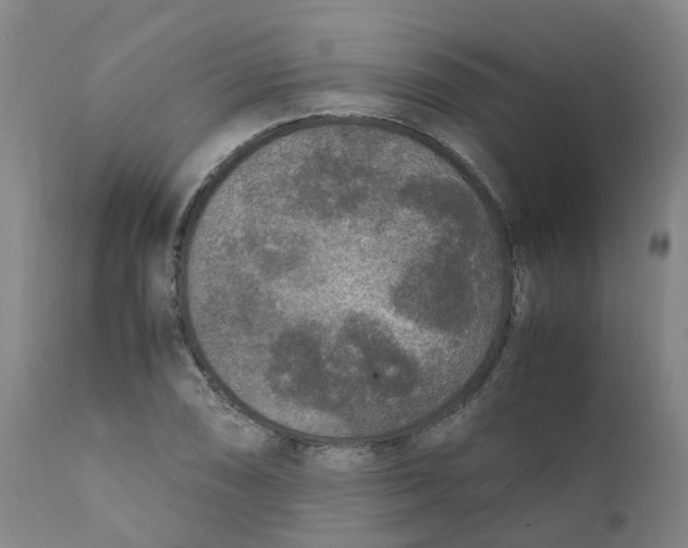 X0000111251074200907231547