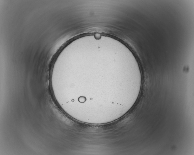 X0000111251075200907231547