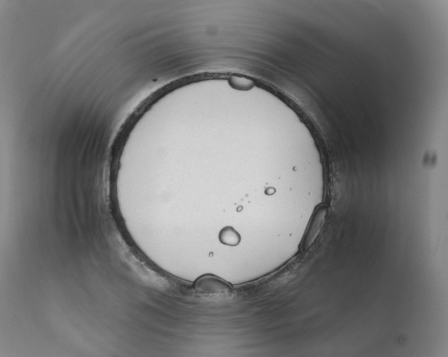 X0000111251076200907231547