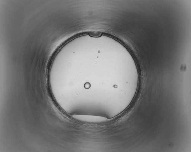 X0000111251077200907231547