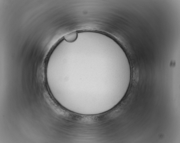 X0000111251078200907231547