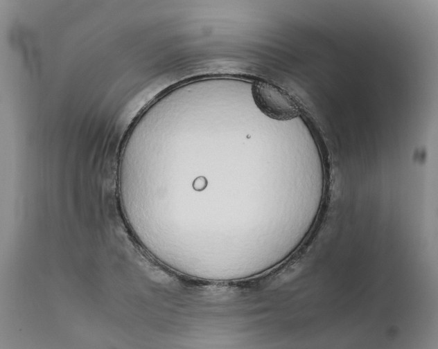 X0000111251081200907231547