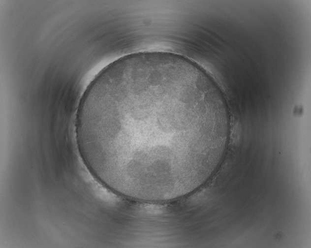 X0000111251086200907231547