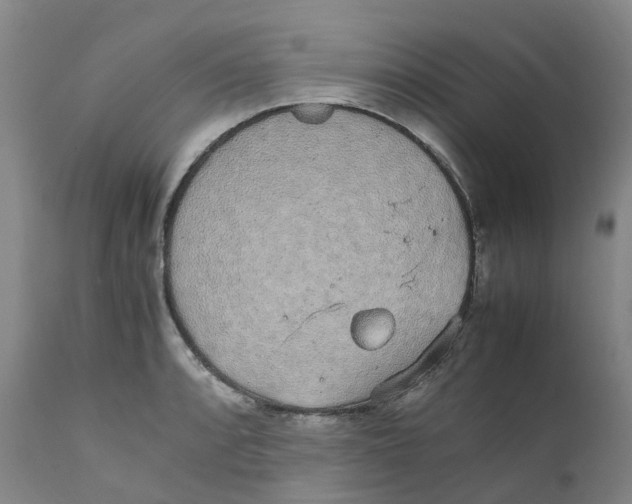 X0000111251088200907231547