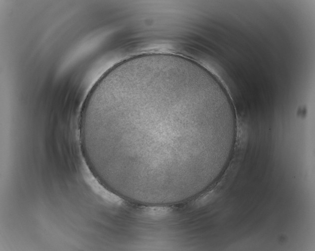 X0000111251090200907231547