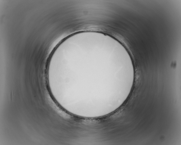 X0000111251091200907231547