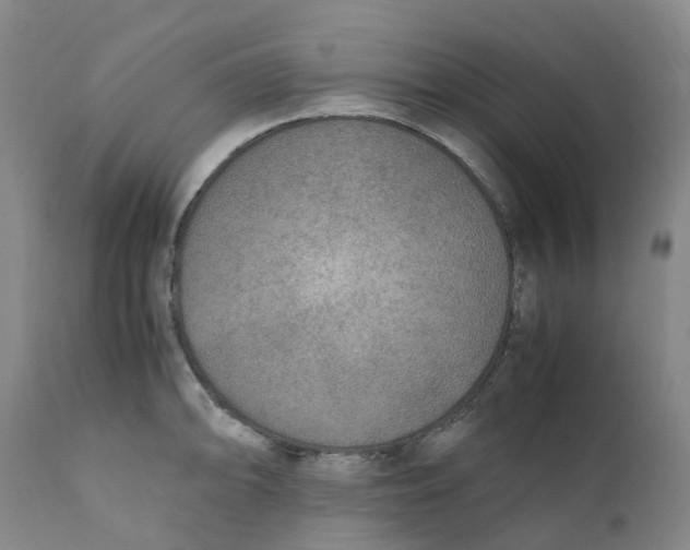 X0000111251094200907231547