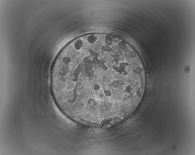 X0000111251095200907231547