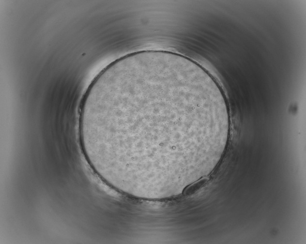 X0000111251096200907231547