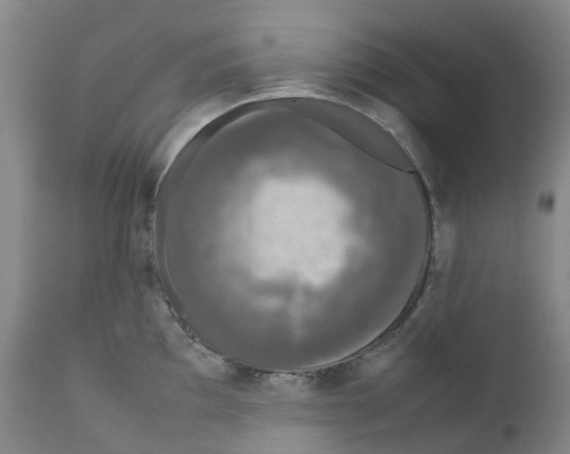 X0000111251097200907231547