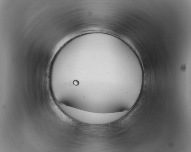 X0000111251098200907231547