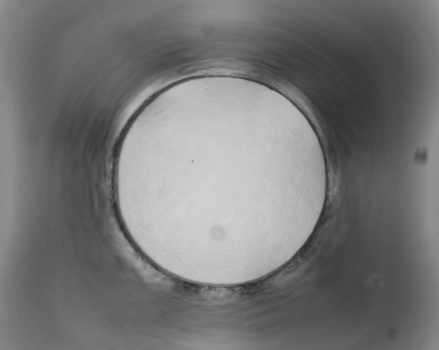 X0000111251099200907231547