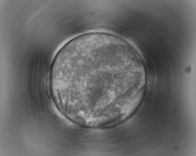 X0000111251100200907231547