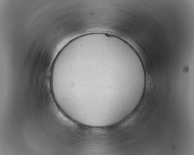 X0000111251102200907231547