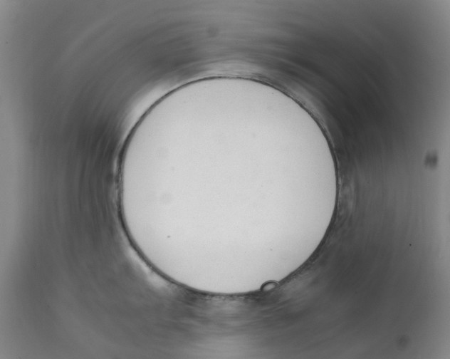 X0000111251103200907231547