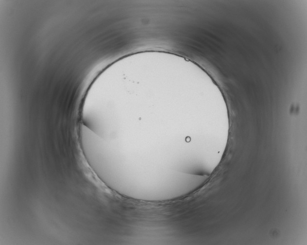 X0000111251104200907231547