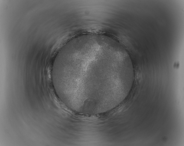 X0000111251106200907231546