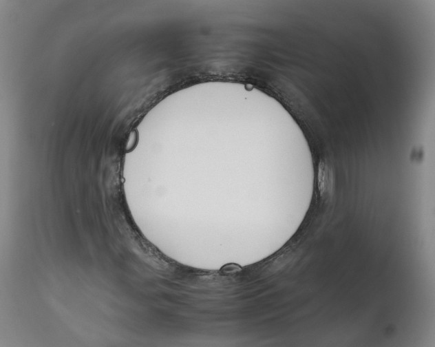 X0000111251107200907231546