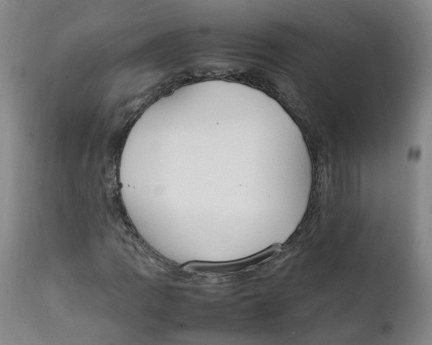 X0000111251109200907231546