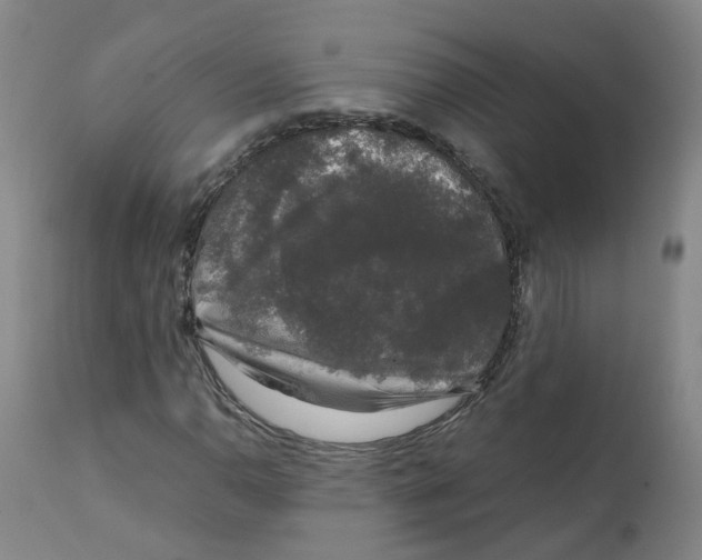 X0000111251110200907231546