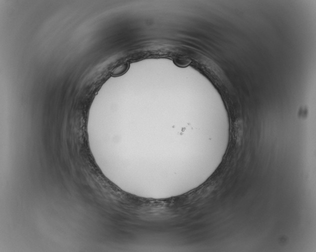 X0000111251111200907231546