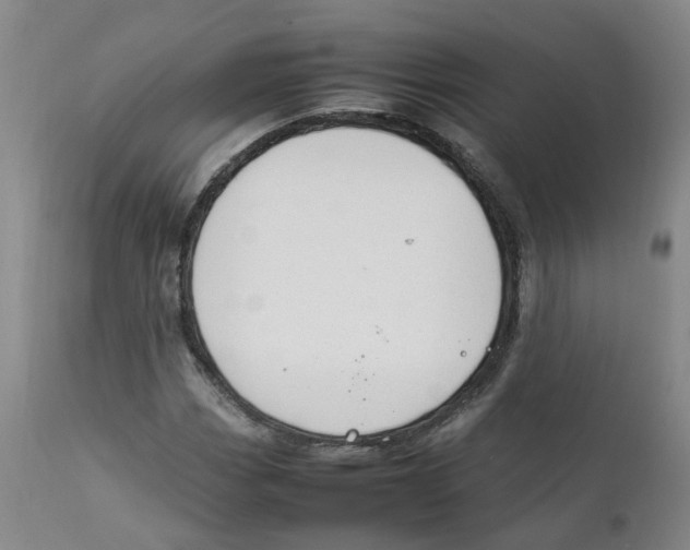 X0000111251113200907231546