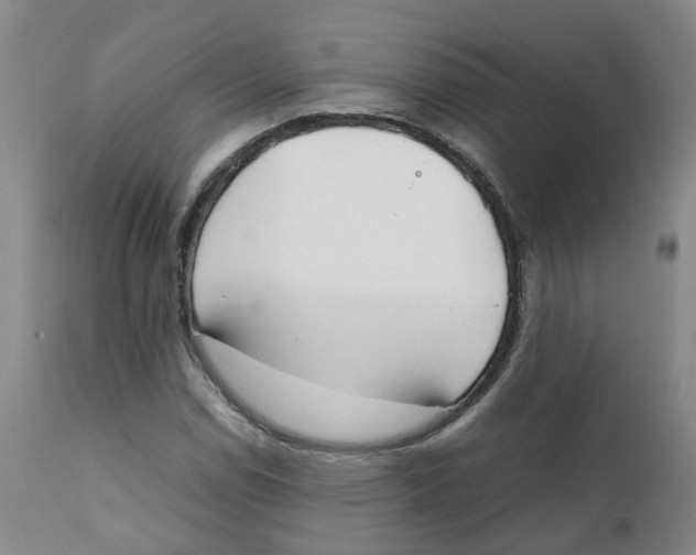 X0000111251114200907231546