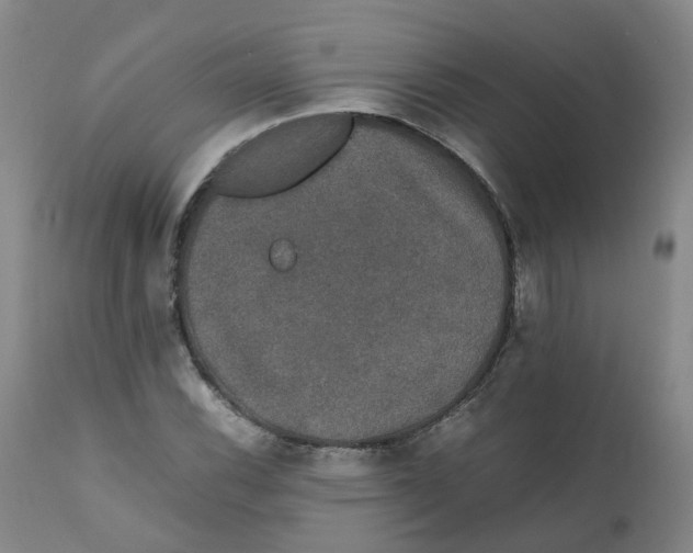 X0000111251116200907231546