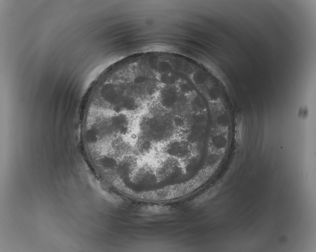 X0000111251117200907231546