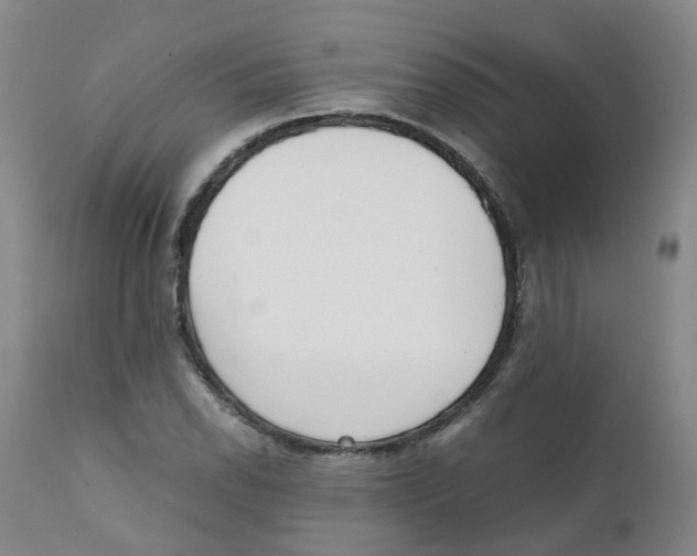 X0000111251118200907231546