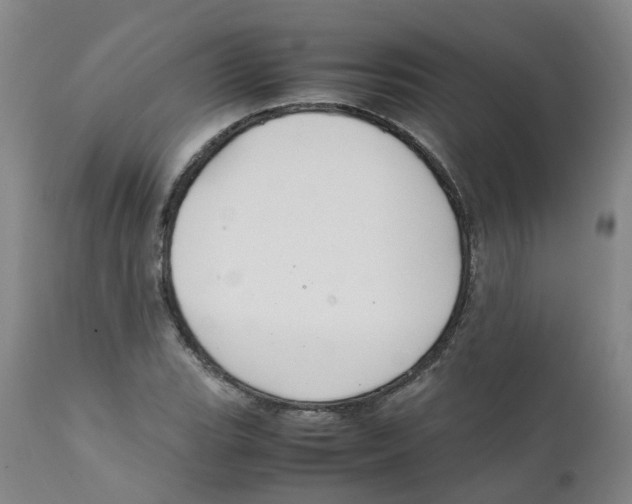 X0000111251119200907231546