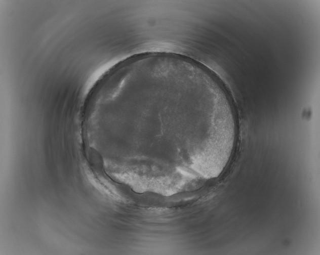 X0000111251120200907231546