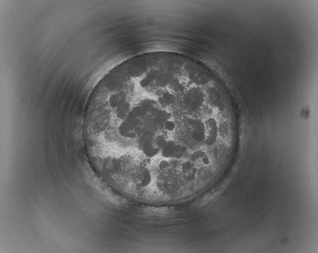 X0000111251121200907231546