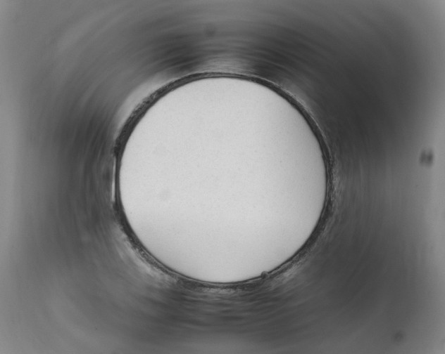 X0000111251123200907231546